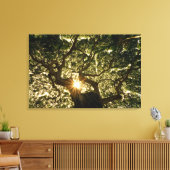 Banyan Tree Canopy Sunstar Canvas Afdruk (Insitu (Woonkamer))