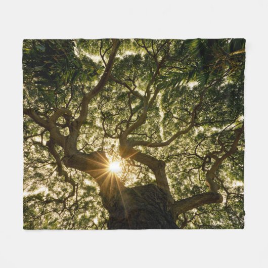 Banyan Tree Canopy Sunstar Fleece Deken (Voorkant (Horizontaal))