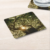 Banyan Tree Canopy Sunstar Kartonnen Onderzetters (Schuin)