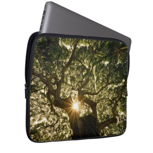 Banyan Tree Canopy Sunstar Laptop Sleeve (Voorkant Rechts)