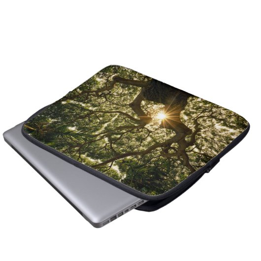 Banyan Tree Canopy Sunstar Laptop Sleeve (Voorkant onderkant)