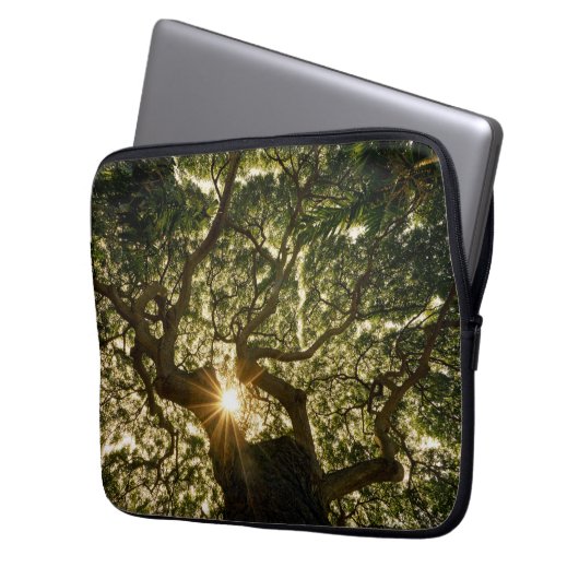 Banyan Tree Canopy Sunstar Laptop Sleeve (Voorkant Links)
