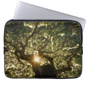 Banyan Tree Canopy Sunstar Laptop Sleeve (Voorkant)