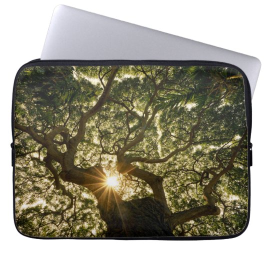 Banyan Tree Canopy Sunstar Laptop Sleeve (Voorkant)