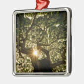 Banyan Tree Canopy Sunstar Metalen Ornament (Links)