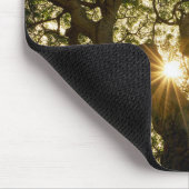 Banyan Tree Canopy Sunstar Muismat (Hoek)