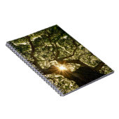 Banyan Tree Canopy Sunstar Notitieboek (Rechterzijde)