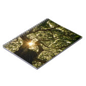 Banyan Tree Canopy Sunstar Notitieboek (Linkerzijde)