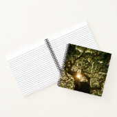 Banyan Tree Canopy Sunstar Notitieboek (Binnen)