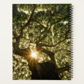 Banyan Tree Canopy Sunstar Planner (Achterkant)