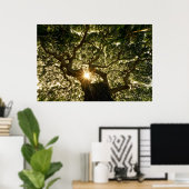 Banyan Tree Canopy Sunstar Poster (Thuiskantoor)