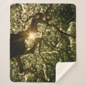 Banyan Tree Canopy Sunstar Sherpa Deken (Voorkant)