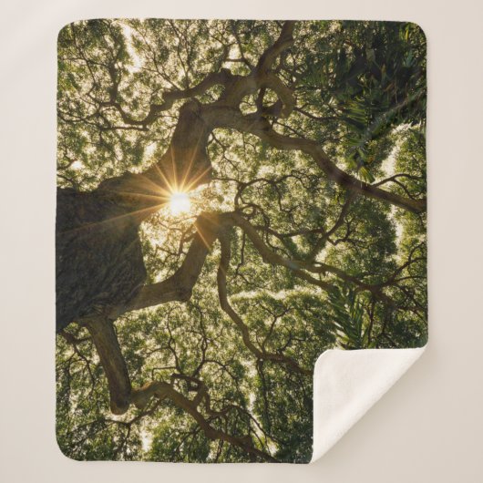 Banyan Tree Canopy Sunstar Sherpa Deken (Voorkant)