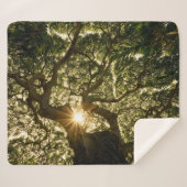 Banyan Tree Canopy Sunstar Sherpa Deken (Voorkant (horizontaal))