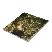 Banyan Tree Canopy Sunstar Tegeltje (Zijkant)