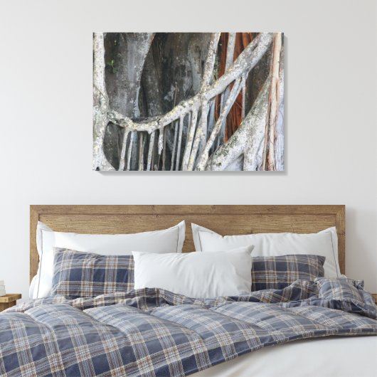 Banyan Tree close-up foto Canvas Afdruk (Insitu (Slaapkamer))