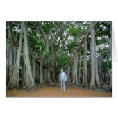 Banyan Tree Edison & Ford Estate Ft Myers Florida (Voorkant Horizontaal)