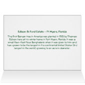 Banyan Tree Edison & Ford Estate Ft Myers Florida (Binnen Horizontaal (Boven))