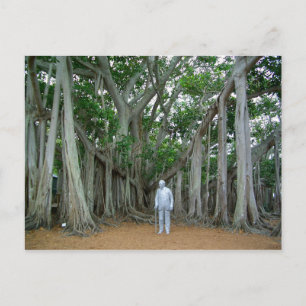 Banyan Tree Edison & Ford Estate Ft Myers Florida Briefkaart