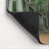 Banyan Tree Edison & Ford Estate Ft Myers Florida Muismat (Hoek)