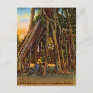 Banyan Tree, Fort Lauderdale, Florida Briefkaart