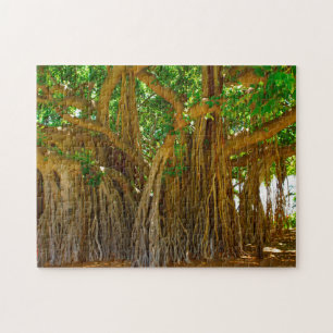 Banyan Tree Honolulu HawaiI. Legpuzzel