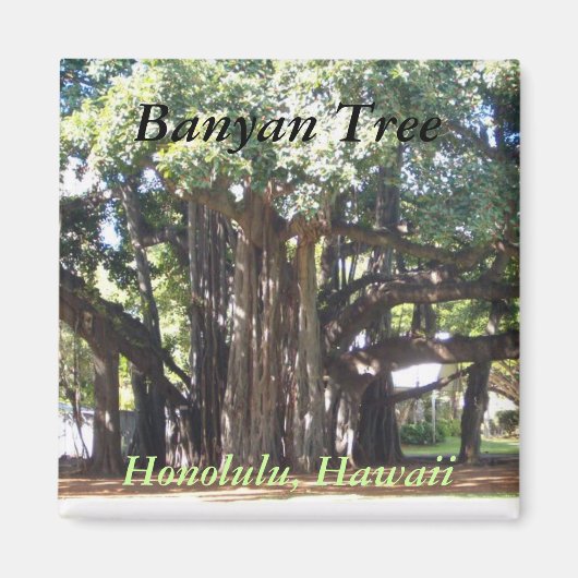 Banyan Tree Magneet (Voorkant)