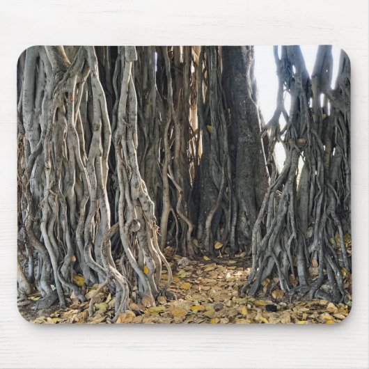 Banyan Tree Muismat (Voorkant)
