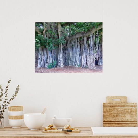 Banyan Tree Poster (Keuken)