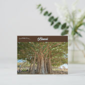 Banyan Tree Queens Beach in Honolulu, Hawaï Briefkaart (Staand voorkant)