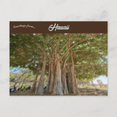 Banyan Tree Queens Beach in Honolulu, Hawaï Briefkaart (Voorkant)