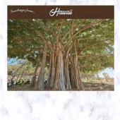 Banyan Tree Queens Beach in Honolulu, Hawaï Briefkaart