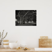 BANYAN TREE ROOT STRUCTURE POSTER (Keuken)