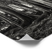 BANYAN TREE ROOT STRUCTURE POSTER (Hoek)