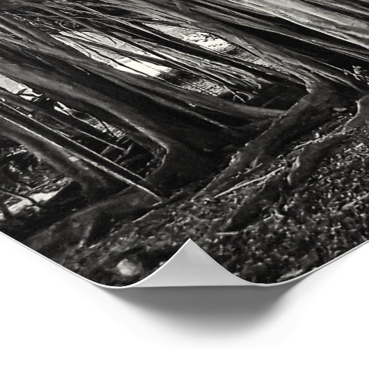 BANYAN TREE ROOT STRUCTURE POSTER (Hoek)