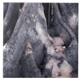 Banyan Tree Tegeltje