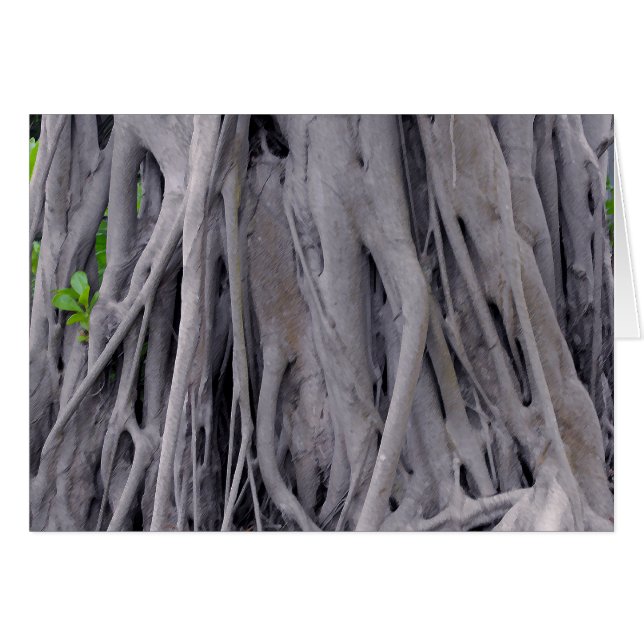Banyan Tree Trunk (Voorkant Horizontaal)