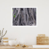 Banyan Tree Trunk Poster (Keuken)