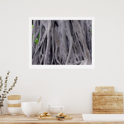 Banyan Tree Trunk Poster (Keuken)