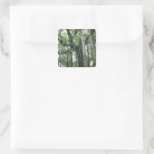 Banyan Tree Vierkante Sticker (Tas)