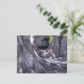 Banyan Trees Briefkaart (Staand voorkant)