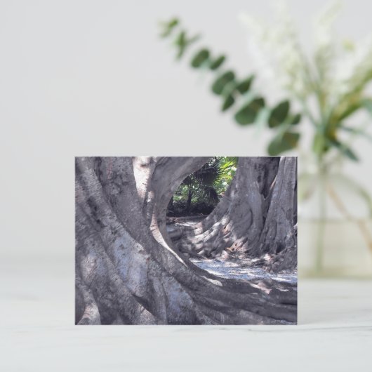 Banyan Trees Briefkaart (Staand voorkant)