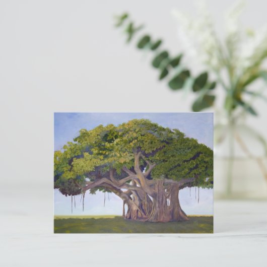 Banyan van MacArthur Briefkaart (Staand voorkant)