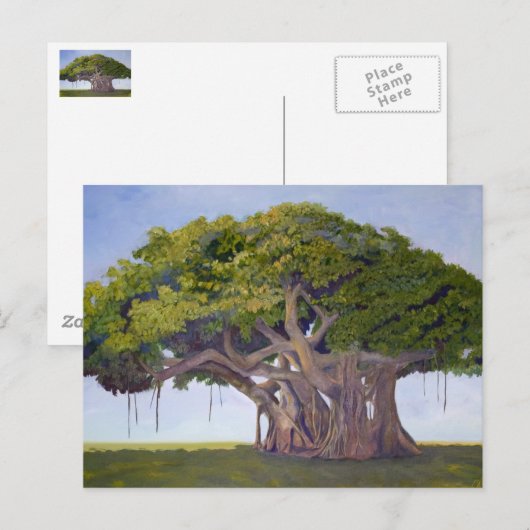 Banyan van MacArthur Briefkaart (Voorkant / Achterkant)