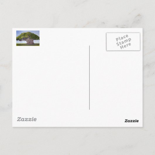 Banyan van MacArthur Briefkaart (Achterkant)