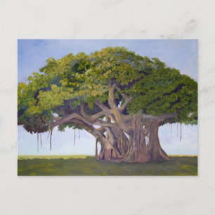 Banyan van MacArthur Briefkaart