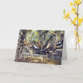 Banyon Tree beroemd gemaakt door Lahaina Maui Miss Kaart (Gele Bloem)