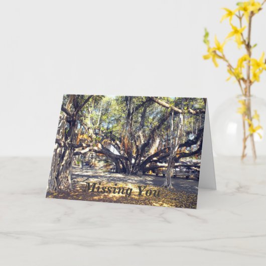 Banyon Tree beroemd gemaakt door Lahaina Maui Miss Kaart (Gele Bloem)