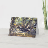 Banyon Tree beroemd gemaakt door Lahaina Maui Miss Kaart (Voorkant)