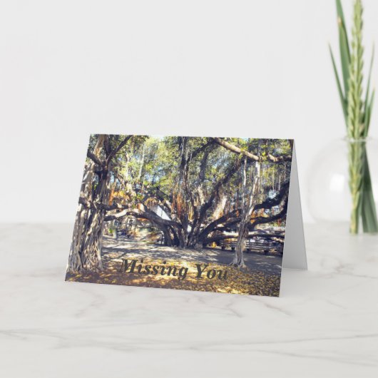 Banyon Tree beroemd gemaakt door Lahaina Maui Miss Kaart (Voorkant)